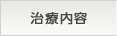 治療内容